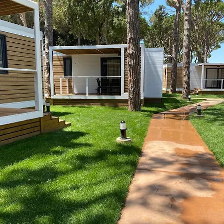 El Delfin - Platja d'Aro