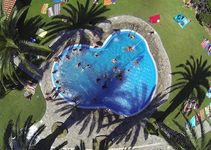 El Delfin - プラヤ・デアロ