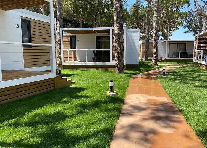 El Delfin - Платья-де-Аро